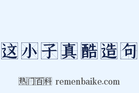 这小子真酷造句是什么意思的图片